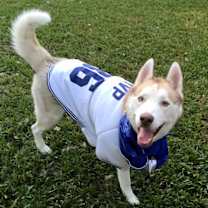 Thumbnail photo of Tucker2 #3