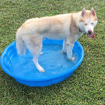 Thumbnail photo of Tucker2 #4