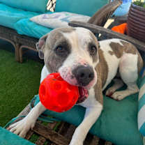 Thumbnail photo of Winnie #2