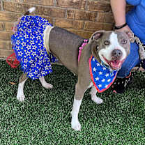 Thumbnail photo of Diva #2