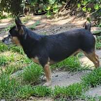 Thumbnail photo of Max #4