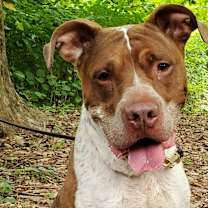 Thumbnail photo of Mason #2