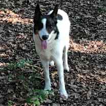 Thumbnail photo of Wilfred #1
