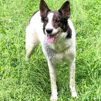 Thumbnail photo of Wilfred #2