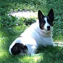 Thumbnail photo of Wilfred #3