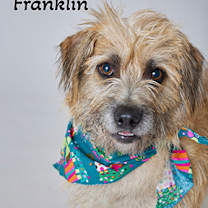 Thumbnail photo of Franklin #1