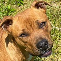 Thumbnail photo of Cassie - so SWEET #4