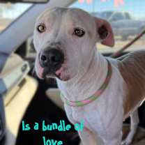 Thumbnail photo of Winki #1