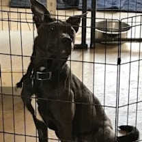 Thumbnail photo of Jonah #2