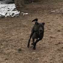 Thumbnail photo of Jonah #3