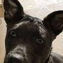 Thumbnail photo of Jonah #4
