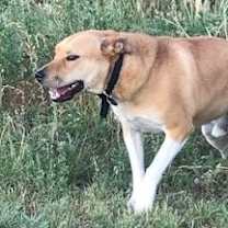 Thumbnail photo of Jack #3