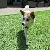 Thumbnail photo of Tom #2
