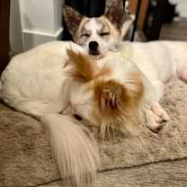 Thumbnail photo of Tom #3