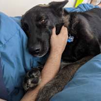 Thumbnail photo of Grimm #4