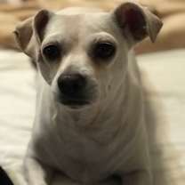 Thumbnail photo of Reyna #1