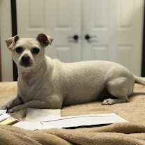 Thumbnail photo of Reyna #2