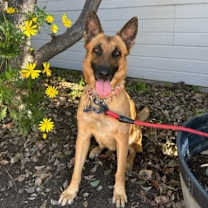 Thumbnail photo of Fiona #1