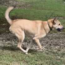 Thumbnail photo of Diego #3