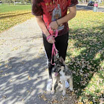 Thumbnail photo of CoCo #1