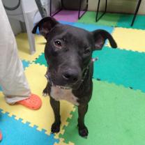 Thumbnail photo of Bo #2