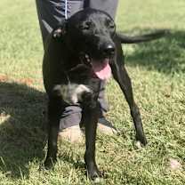 Thumbnail photo of Tate #1