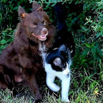 Thumbnail photo of CoCo #3