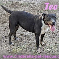Thumbnail photo of Tee #1