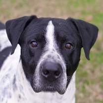 Thumbnail photo of Cruz #1
