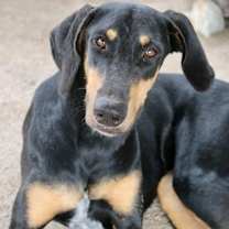 Thumbnail photo of Deedra #2