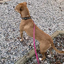 Thumbnail photo of Athena #1