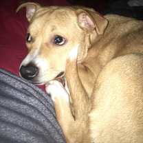 Thumbnail photo of Athena #3