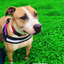 Thumbnail photo of Sally #1