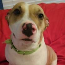 Thumbnail photo of Mabel #2