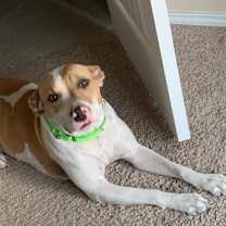 Thumbnail photo of Mabel #3