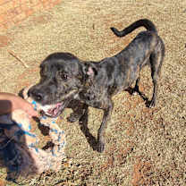 Thumbnail photo of Spot #1