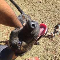 Thumbnail photo of Spot #2