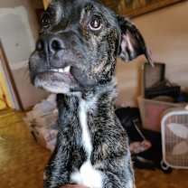 Thumbnail photo of Spot #3
