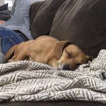 Thumbnail photo of Ryder  #2