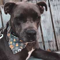 Thumbnail photo of Ghost #2