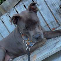 Thumbnail photo of Ghost #1