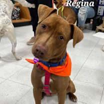 Thumbnail photo of Regina #3