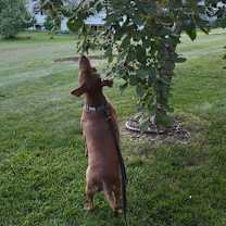 Thumbnail photo of Regina #4