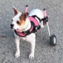 Thumbnail photo of Zena #2