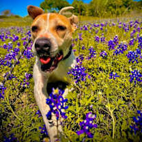 Thumbnail photo of LULU #1