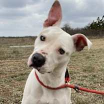 Thumbnail photo of Winki #2