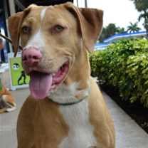 Thumbnail photo of Lenox #1