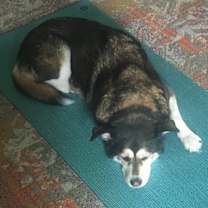 Thumbnail photo of Nakita  #2