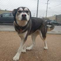 Thumbnail photo of Nakita  #3