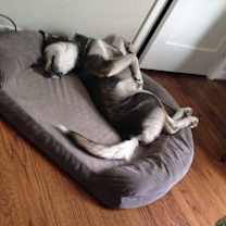 Thumbnail photo of Nakita  #4